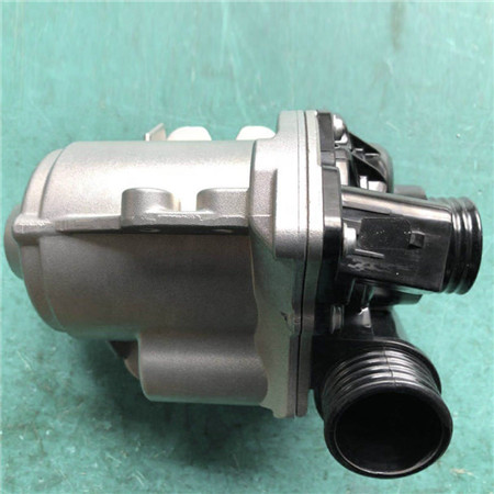 1100W Submersible Electric Automotive Water Pump Na May CE